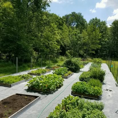 Preparing the Beaumont Heirloom Garden for Spring